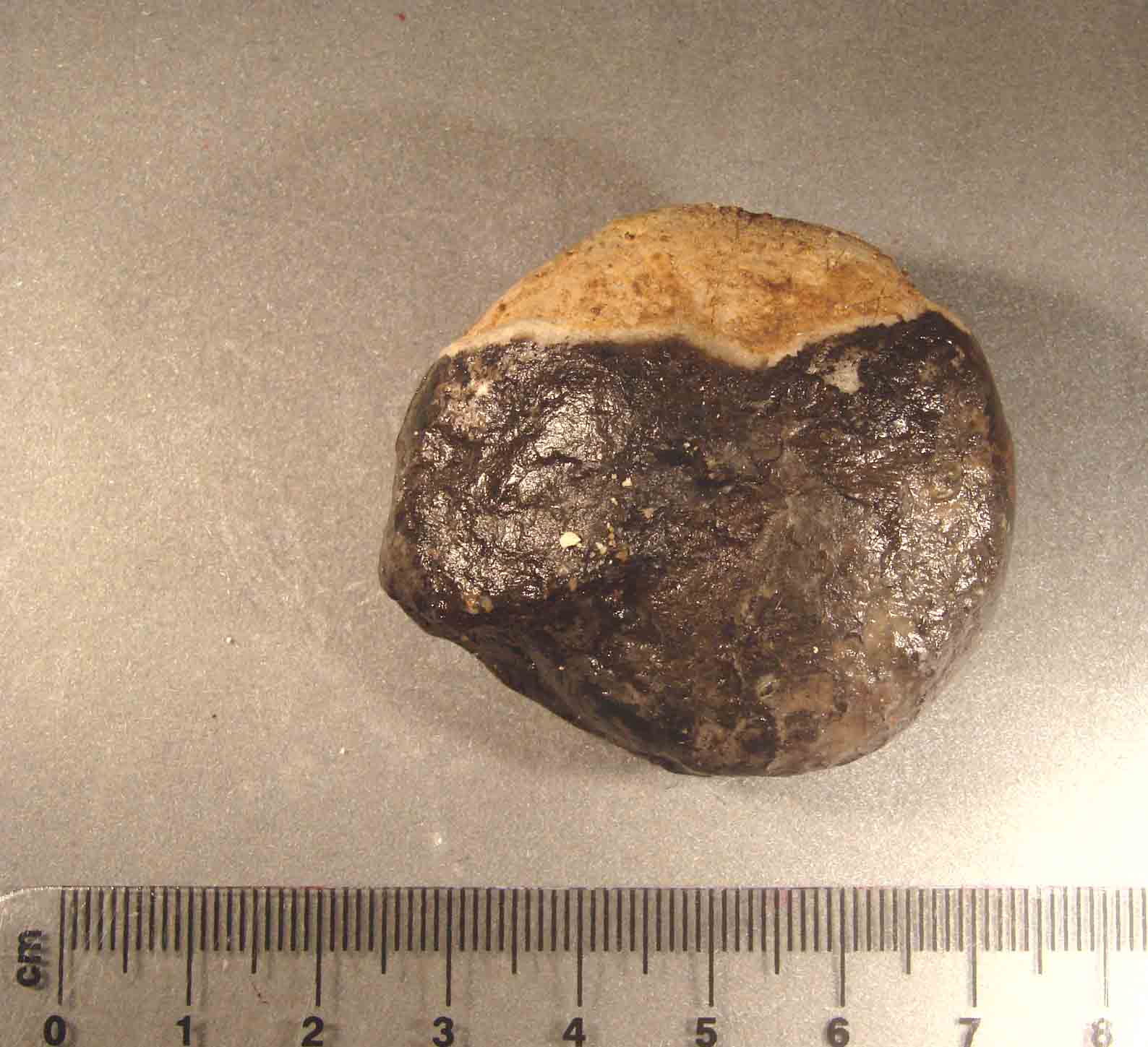 riconoscimento per.. esperti.